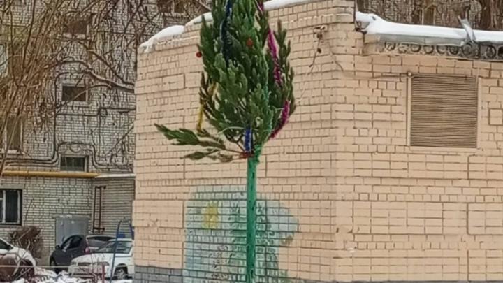 В Энгельсе установили елку на шесте