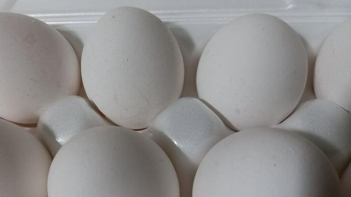 Россельхознадзор запретит ввоз в Россию животноводческой продукции из Евросоюза