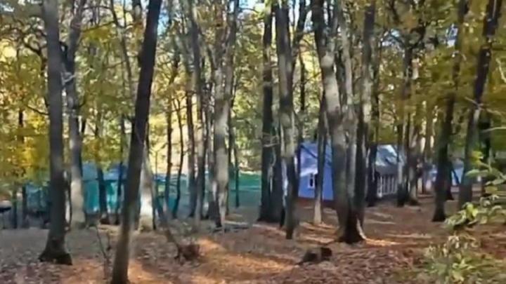 Саратовским многодетным семьям расширят меру поддержки