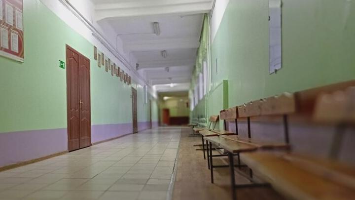 Из-за гриппа и ОРВИ в Саратовской области закрыты четыре школы