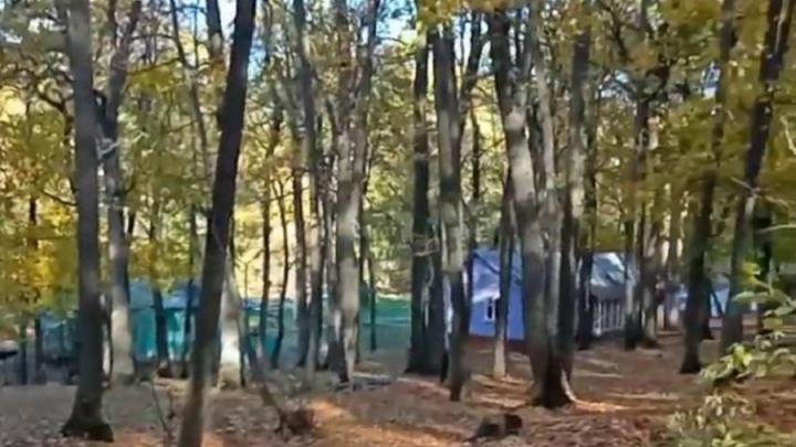 Саратовские многодетные семьи получат компенсацию за путевки в детские палаточные лагеря