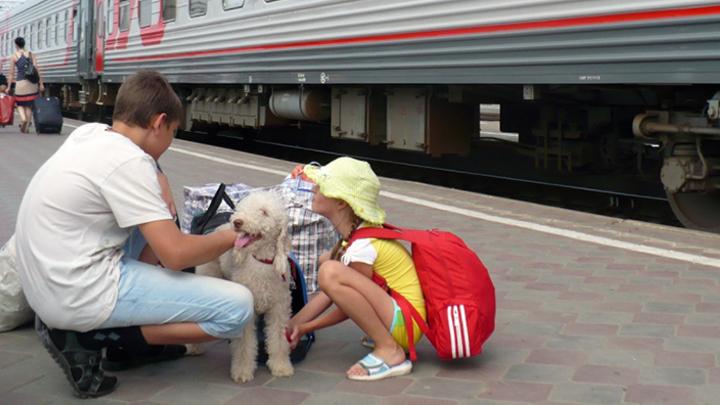 За год на Приволжской железной дороге было перевезено свыше 7,5 тысяч домашних животных