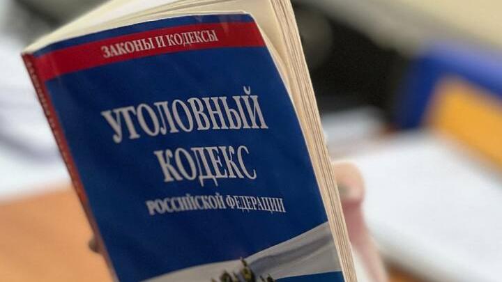 Юноша из Красноармейска отправился в колонию за смерть школьницы после полового акта |18+