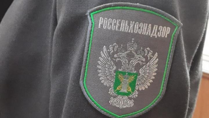 В этом году Россельхознадзор не допустил ввоз в страну 19 тонн сгущенного молока без документов