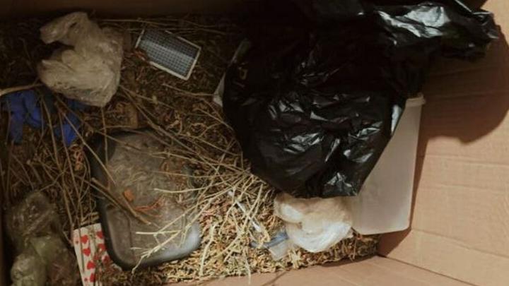 В Саратове задержан мужчина «с травкой»