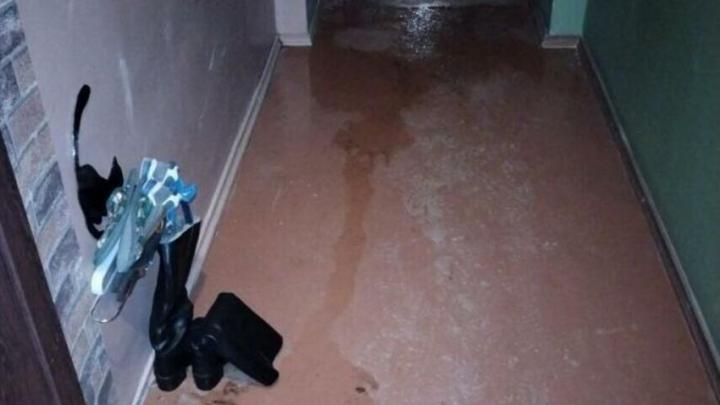 В Энгельсе трем управляющим компаниям вынесли предостережение