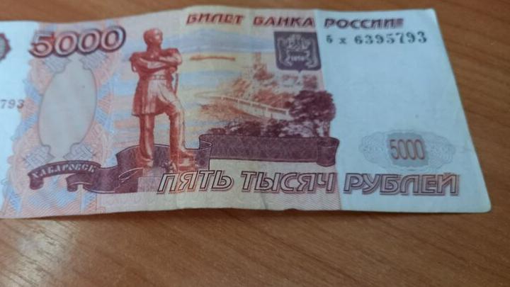 За год в России было выявлено свыше 5 тысяч финансовых пирамид