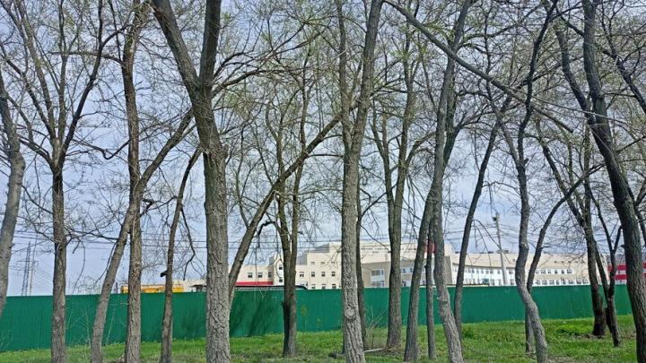 Новый онкологический центр открывается в Саратове 