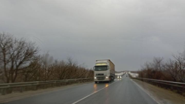 Из Саратовской области запретили вывоз 40 тонн семян