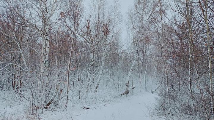 Морозы в Саратовскую область пришли в конце зимы
