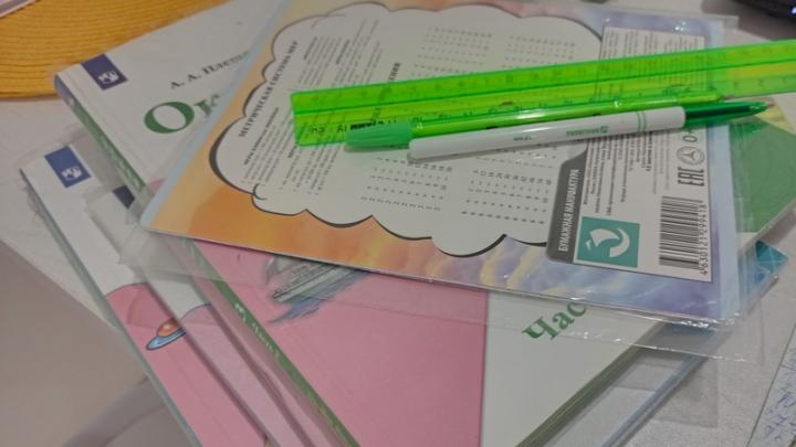 Из-за морозов в саратовских школах отменяли занятия