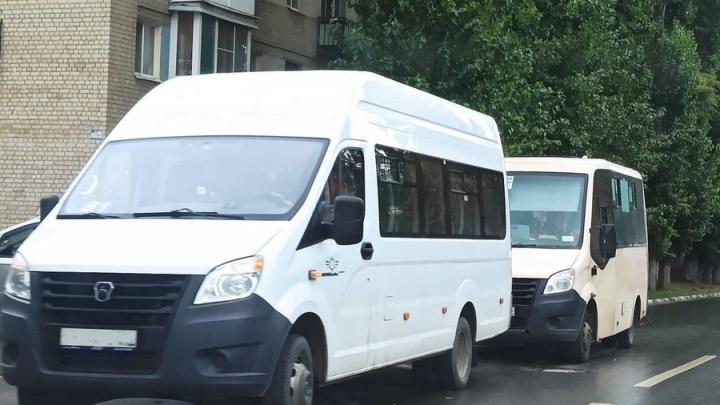 В Саратове комитет по транспорту выделили в отдельное направление