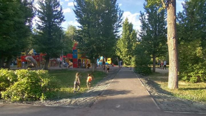 В Саратове закупают саженцы кустарников на 1,1 млн рублей