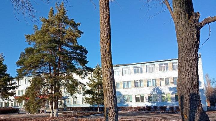 Уже 71 школа и 13 детсадов закрыты из-за ОРВИ в Саратовской области