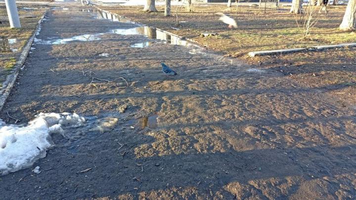 В Заводском районе Саратова сильно запущена и разбита часть сквера 