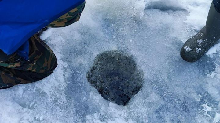 Саратовские рыбаки отмечают безрыбье в акватории Волги
