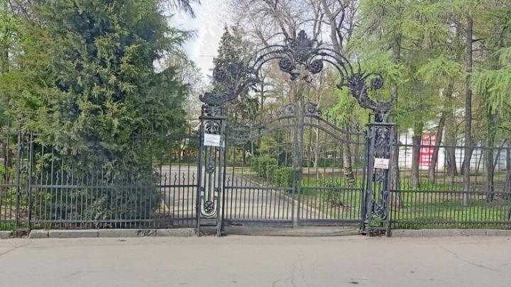 В Саратове сад «Липки» закроется для благоустройства