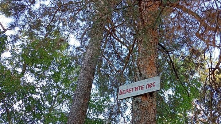 В Саратовской области создана новая особо охраняемая природная территория