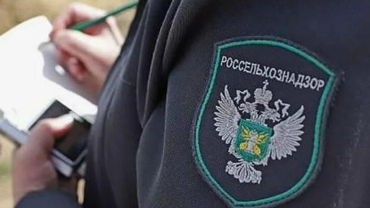 Саратовским землевладельцам напомнили о мерах пожарной безопасности