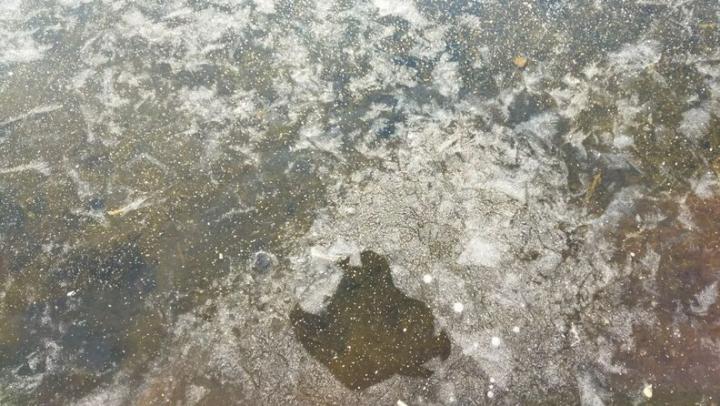 В Вольском районе рыбак провалился под лед и утонул