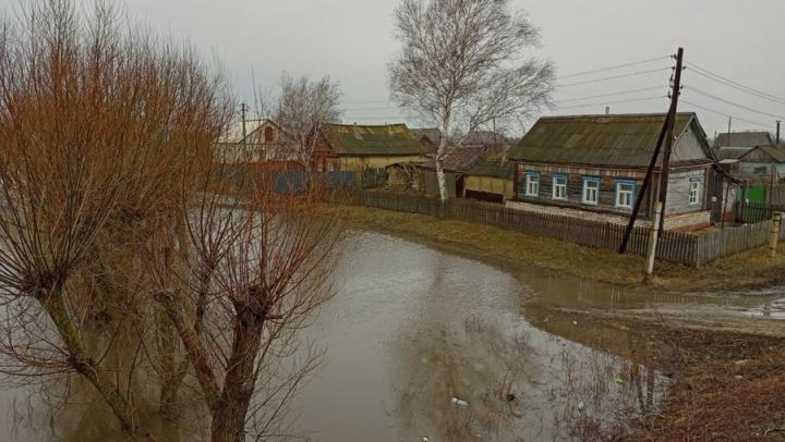 Паводок в Саратовской области: вскрылись 30 малых рек