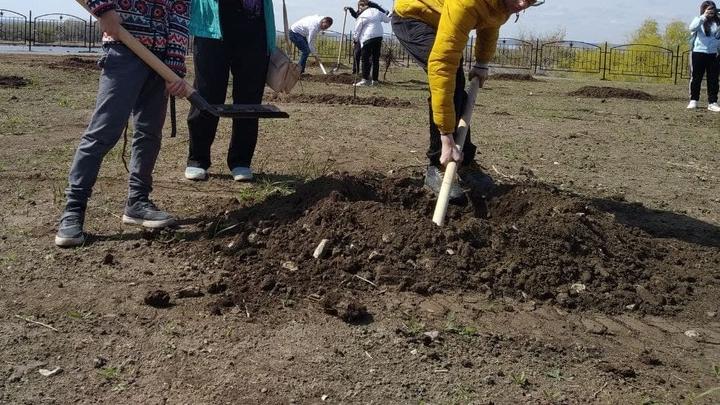 В Саратове решили повременить с субботником