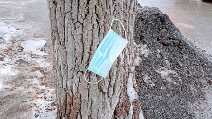 В Саратовской области больше всего случаев ковида в Энгельсском районе