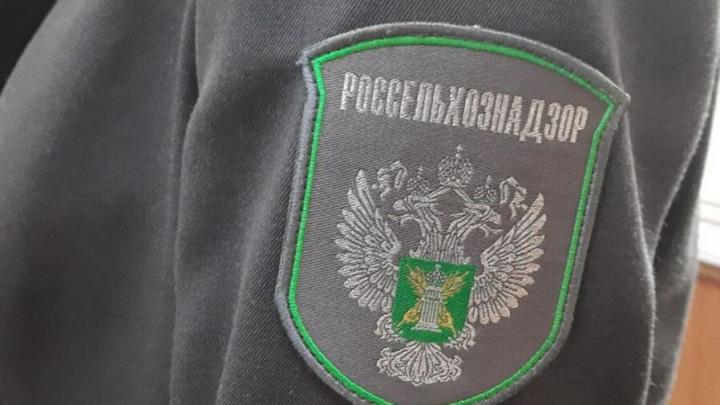 Саратовский предприниматель заплатил штраф за неиспользование земель сельхозназначения