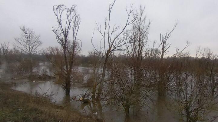 Из-за половодья в Пугачевском районе закрыто движение в село Каменка