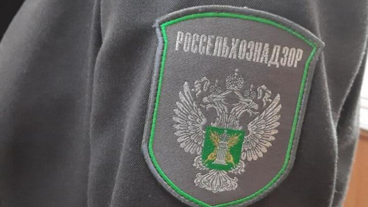 Сотрудники Россельхознадзора выявили нарушения в сетевом магазине