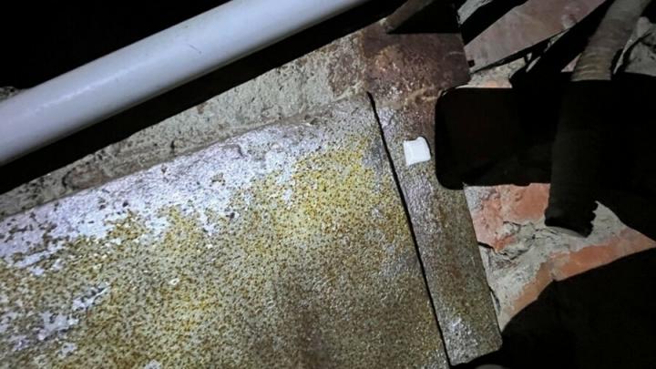 В Энгельсе полиция задержала двоих закладчиков
