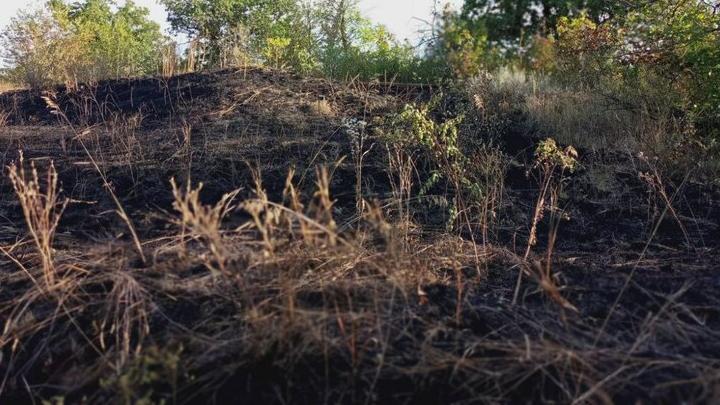 В Энгельсе горело более 2 тысяч квадратных метров камыша и травы