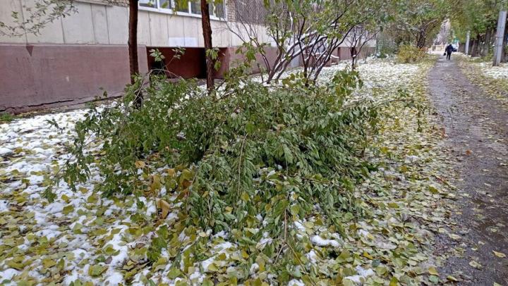 С пятницы в Саратовской области объявлен месячник по благоустройству