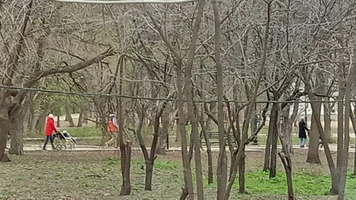 В Саратовской области расширят критерии для получения нового пособия для молодых мам