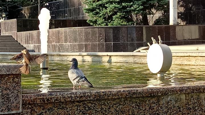 В Саратове выделят допсредства на снос домов, ремонт фонтанов, благоустройство территории у трамвайных путей