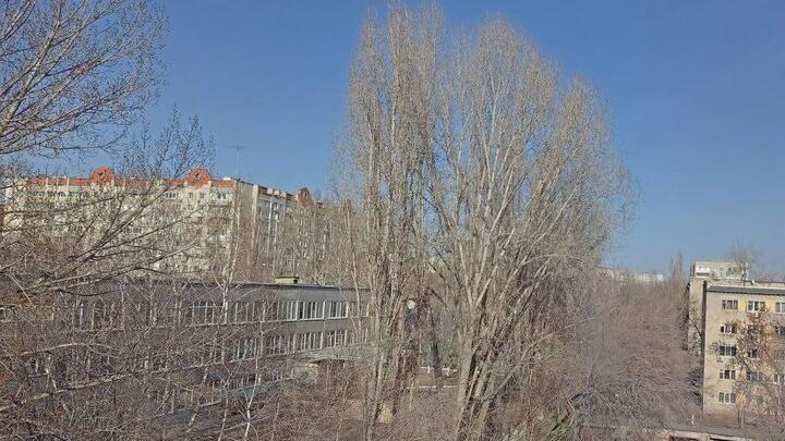 Лето в апреле: в Саратовской области воцарится аномальное тепло и пройдут грозы