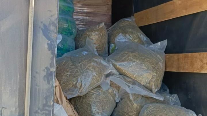 Из Саратовской области пытались незаконно вывезти 180 мешков с сеном