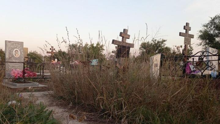 В Ртищево местные власти забыли благоустроить кладбища