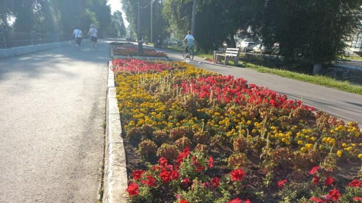 На набережной Энгельса пройдет акция в честь Дня здоровья