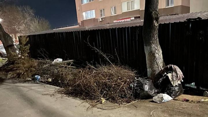 Переполненные баки: саратовцы требуют сменить мусоровывозящую компанию