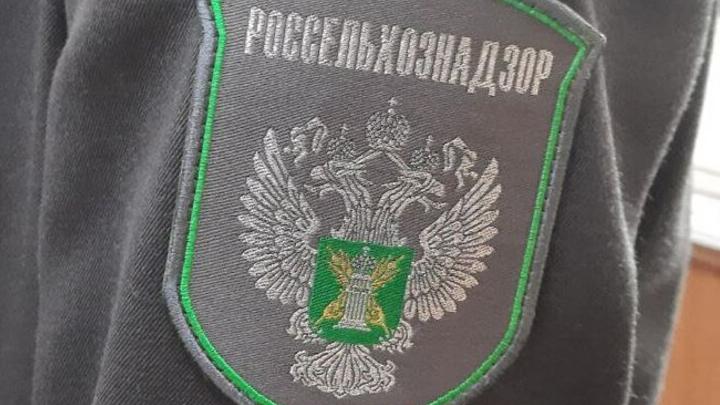 Саратовским фермерам напомнили правила использования сельхозземель