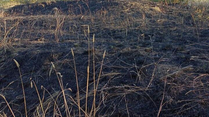 В Балаковском районе горели поля