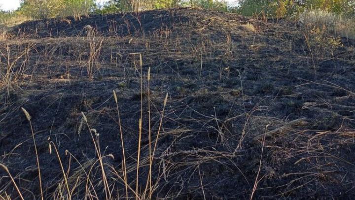 В Заводском районе Саратова на двух участках горела сухая трава