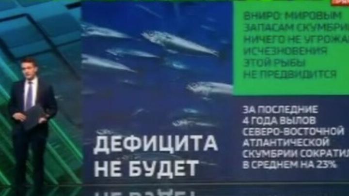 Саратовцам не грозит дефицит скумбрии