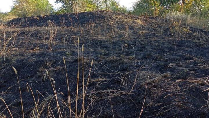 В районе поселка Расково пожарные тушат несколько очагов горящей травы