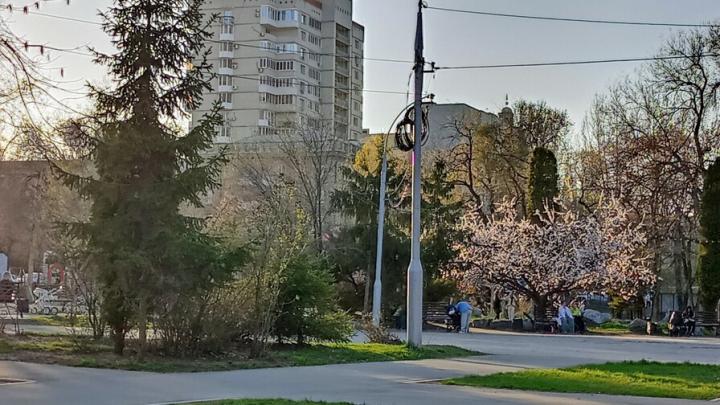 В Саратове все теплее