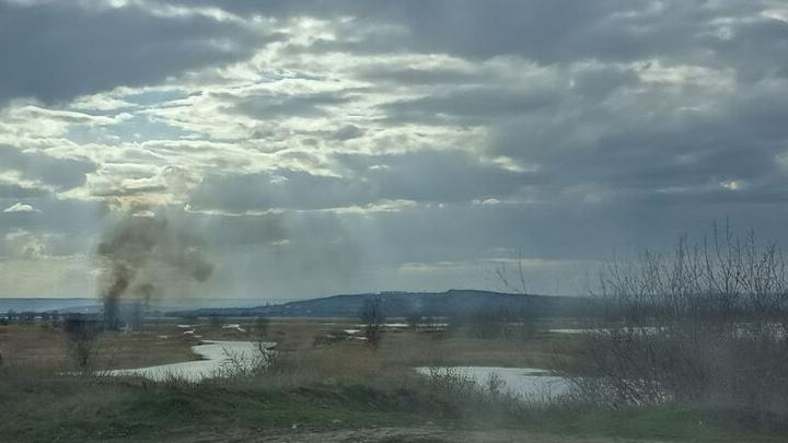 У Зеркального пруда в Саратове горит камыш