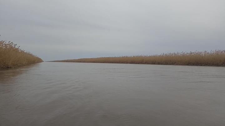 80 млн выделено на закачку воды в пруды засушливых районов Левобережья