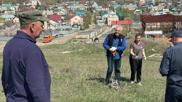 В Саратовской области в рамках акции «Сад памяти» сторонники «Единой России» высадили более тысячи деревьев