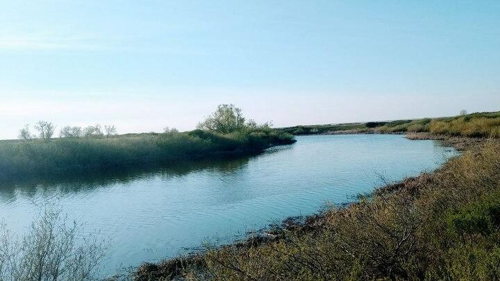 На Саратовском водохранилище вступил в действие нерестовый запрет